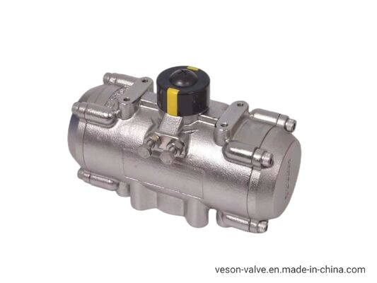 하드 아노다이징 알루미늄 랙 피니언 디자인의 스테인리스 스틸 내식성 공압 액추에이터